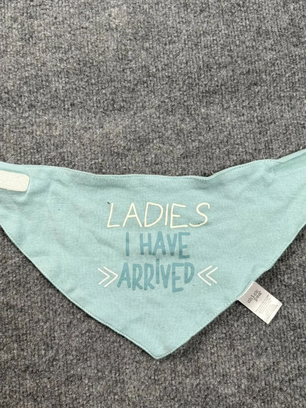Chick Pea Baby Bandana Bib - 